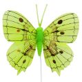 Floristik24 Dekorative sommerfugler grønne 8cm 6stk