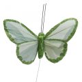 Floristik24 Dekorative sommerfugler grønne fjærsommerfugler på wire 10cm 12stk