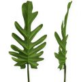 Floristik24 Dekorative blader Philodendron grønn W11cm L34cm 6stk