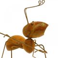 Floristik24 Dekorativ figur maur metall sommerfuglnett hage dekorasjon rust 19cm