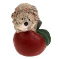 Floristik24 Dekorativ figur pinnsvin på eple 7,5 cm keramisk
