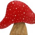 Floristik24 Pynteskikk toadstool natur, rød 25cm