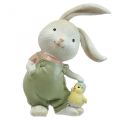 Floristik24 Deco figurer deco kanin kanin barn med kyllinger H11cm 2stk
