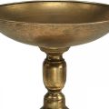 Floristik24 Dekorativ skål på fot Dekorativ tallerken gull antikk look Ø28cm H26cm