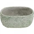 Floristik24 Dekorativ skål keramisk oval grønn hvit grå grangrener L22,5cm