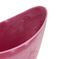 Floristik24 Dekorativ skål plast rosa 20cm x 9cm H11,5cm, 1p