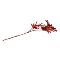 Floristik24 Dekorativ gren mørk rød med glimmer 52cm