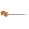 Floristik24 Deco gren kunstig gren høstdekor 2 blomsterstander oransje 82cm