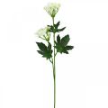Floristik24 Dillblomstrende, kunstige urter, dekorativ plante grønn, hvit 49cm 9stk