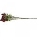 Floristik24 Tistel kunstblomst rød burgunder 10 blomsterhoder 68cm 3stk
