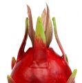 Floristik24 Dragefrukt 15cm rød 1p