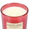 Duftlys i glass naturlig vokslys Winter Dreams 85×70mm | Floristik24.no