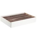 Ensfargede lys, pinnelys, kobber, 50x300mm, 4 stk. | Floristik24.no