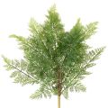 Floristik24 Kunstig bregnegren, flere grener, grønn, 68 cm