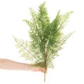 Kunstig bregnegren, flere grener, grønn, 68 cm | Floristik24.no