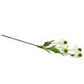 Floristik24 Echinacea blomst kunstig hvit 90cm
