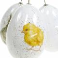 Floristik24 Påskeegg til å henge med dyremotiver kylling, fugl, kaninhvit assortert 3stk