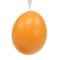Floristik24 Egg å henge grønn-oransje 6cm 12stk