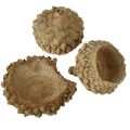 Eikenøtthatter naturlige dekorative eikenøtter til håndverk 1,5 cm 200 g | Floristik24.no