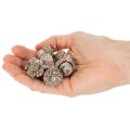 Eikenøtter, naturprodukt til dekorasjon, hvitkalkede, 1-3 cm, 300 g | Floristik24.no