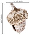 Eikenøtter, naturprodukt til dekorasjon, hvitkalkede, 1-3 cm, 300 g | Floristik24.no
