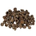 Floristik24 Naturlige eikenøtthatter, dekorative skåler til høst og advent, 2 cm, 300 g