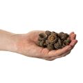 Naturlige eikenøtthatter, dekorative skåler til høst og advent, 2 cm, 300 g | Floristik24.no