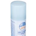 Isblomstspray Dekorspray for vinduer og vinterdekorasjoner på glass 150 ml | Floristik24.no