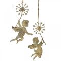 Floristik24 Engel med løvetann, julepynt, dekorativt anheng, metalldekorasjon gyllen antikk look H16/15cm 4stk