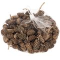 Alderkongler, naturprodukt til