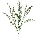 Floristik24 Eukalyptusgren grønn 130cm