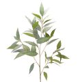 Floristik24 Kunstig eukalyptusgren, naturlig grønn, dekorasjon, 100 cm