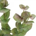 Floristik24 Kunstig eukalyptus gren deco grønn plante grønn, rosa 75cm