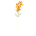 Floristik24 Cosmea Kosmee smykkekurv kunstig blomst oransje 75cm