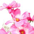 Floristik24 Cosmea Kosmee smykkekurv kunstblomst rosa 75cm
