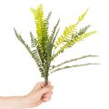 Kunstig bregnegren, kunstig grønn plante til dekorasjon, 45 cm | Floristik24.no