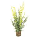 Floristik24 Kunstig bregneplante med rotklump for dekorasjon av hjem og kontor, 57 cm