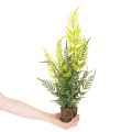 Kunstig bregneplante med rotklump for dekorasjon av hjem og kontor, 57 cm | Floristik24.no