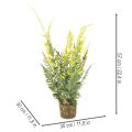 Kunstig bregneplante med rotklump for dekorasjon av hjem og kontor, 57 cm | Floristik24.no