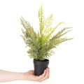 Kunstig bregneplante i potte for innendørs bruk, 40 cm | Floristik24.no