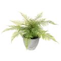 Floristik24 Kunstig bregne i en blomsterpotte til stue og kontor, 35 cm