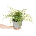 Kunstig bregne i en blomsterpotte til stue og kontor, 35 cm | Floristik24.no