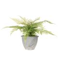 Kunstig bregne i en blomsterpotte til stue og kontor, 35 cm | Floristik24.no