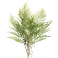 Floristik24 Kunstig bregnegren, dekorativ grønn plante for blomsteroppsatser, 80 cm