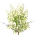 Floristik24 Kunstig grønn Ruscus-gren til blomsterdekorasjon, 41 cm
