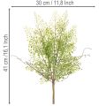 Kunstig grønn Ruscus-gren til blomsterdekorasjon, 41 cm | Floristik24.no