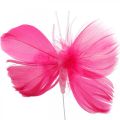 Floristik24 Fjærsommerfugler rosa/rosa/røde, deco sommerfugler på ledning 6stk