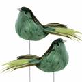 Floristik24 Fjærfugl på wire grønn 12cm 4stk