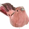 Floristik24 Fjærfugl på wire rosa 12cm 4stk