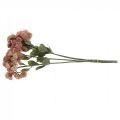 Floristik24 Stonecrop rosa sedum stonecrop kunstige blomster H48cm 4stk